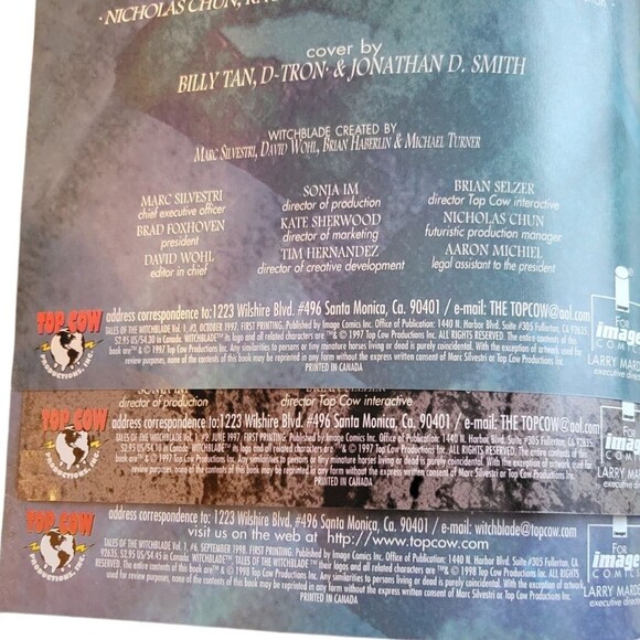 Tales of the Witchblade #2, #3, #6 - Picture 3 of 3